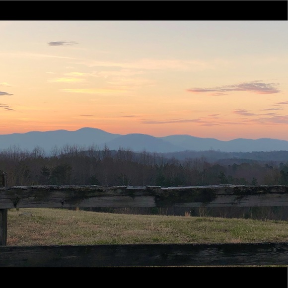 Meet your Posher, Posh - Picture 1 of 1